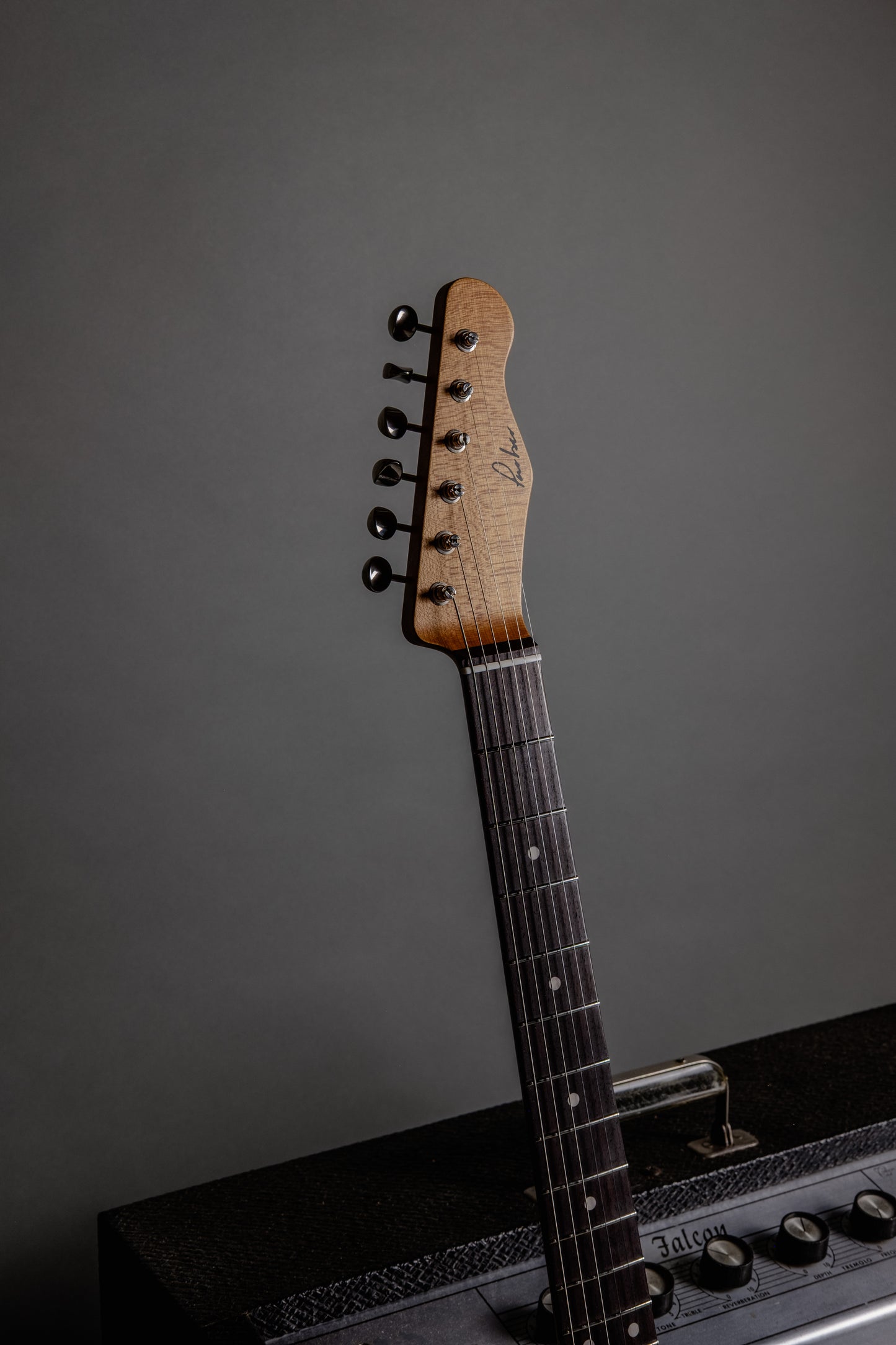 Lewis Parker Guitar Co. - Thinline "T" in Firemist Gold Metallic
